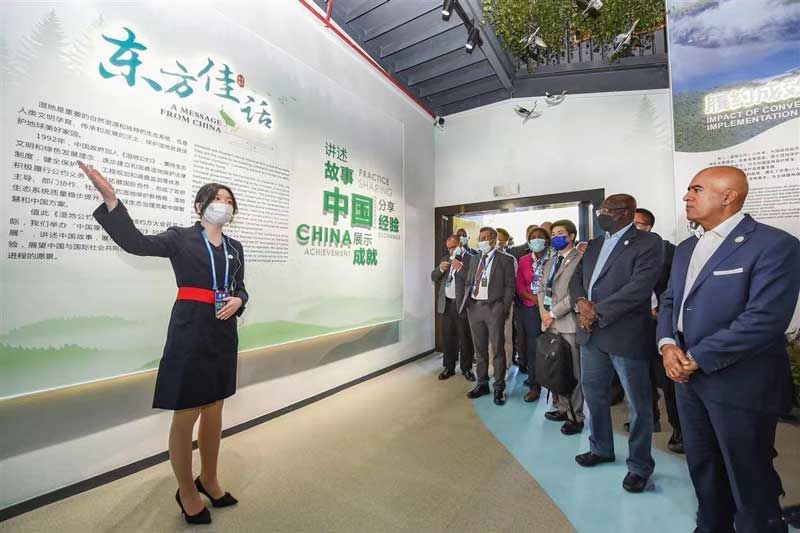 图片5.jpg 图片5.jpg